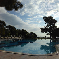 фото из отзыва ID 1869270