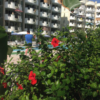 фото из отзыва ID 1869333