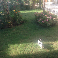 фото из отзыва ID 1869333