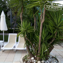 фото из отзыва ID 1869270