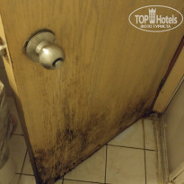 фото из отзыва ID 1869388