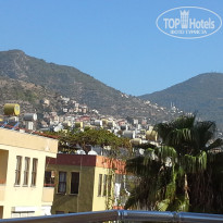 фото из отзыва ID 1869463