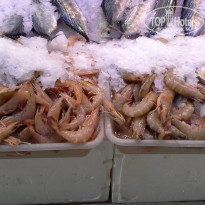 фото из отзыва ID 1869463