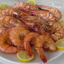 фото из отзыва ID 1869463