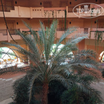 фото из отзыва ID 1869546