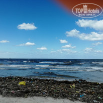 фото из отзыва ID 1869598