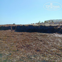 фото из отзыва ID 1869672