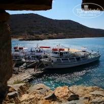 фото из отзыва ID 1869904