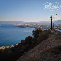 фото из отзыва ID 1869904