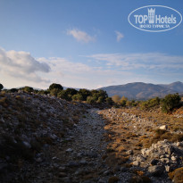 фото из отзыва ID 1869904