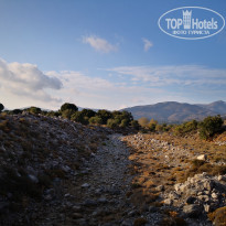 фото из отзыва ID 1869904