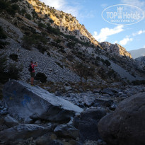 фото из отзыва ID 1869904