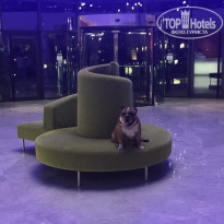 фото из отзыва ID 1866117