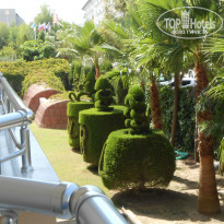 фото из отзыва ID 1869414