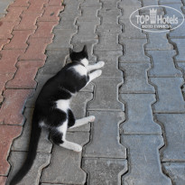 фото из отзыва ID 1869414