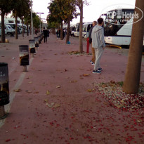 фото из отзыва ID 1869414