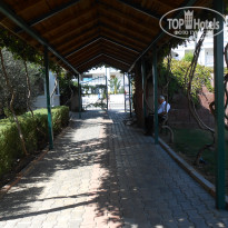 фото из отзыва ID 1869414