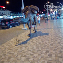 фото из отзыва ID 1869414