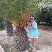 фото из отзыва ID 1867872