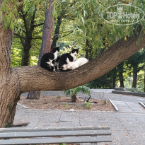 фото из отзыва ID 1864903