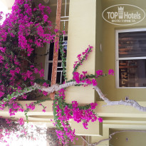 фото из отзыва ID 1860674