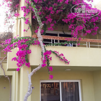 фото из отзыва ID 1860674