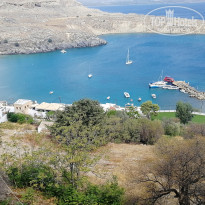 фото из отзыва ID 1869023