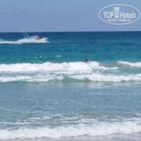 фото из отзыва ID 1863537