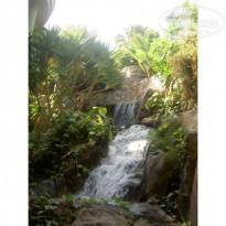 фото из отзыва ID 18711