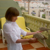 фото из отзыва ID 18711