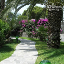 фото из отзыва ID 187217