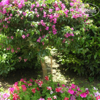 фото из отзыва ID 187217