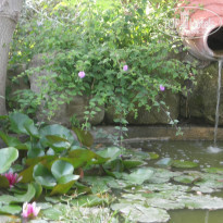 фото из отзыва ID 187217