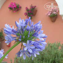 фото из отзыва ID 187217