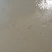 фото из отзыва ID 187588