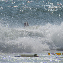 фото из отзыва ID 1870047