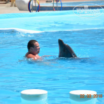 фото из отзыва ID 1870006