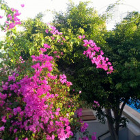 фото из отзыва ID 1870092