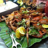 фото из отзыва ID 1870189