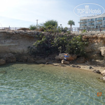 фото из отзыва ID 1870172