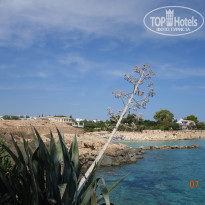 фото из отзыва ID 1870172