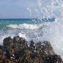 фото из отзыва ID 1870172