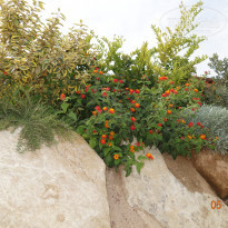 фото из отзыва ID 1870172