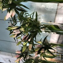 фото из отзыва ID 1870306