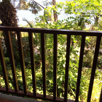 фото из отзыва ID 1870277