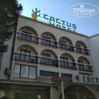 фото из отзыва ID 1870499