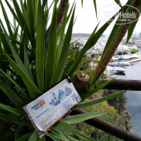 фото из отзыва ID 1870605