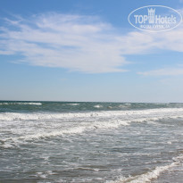 фото из отзыва ID 1870725