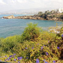 фото из отзыва ID 1870726