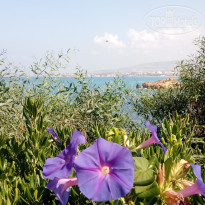 фото из отзыва ID 1870726